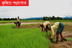 কৃষি বিষয়ে পড়াশোনা